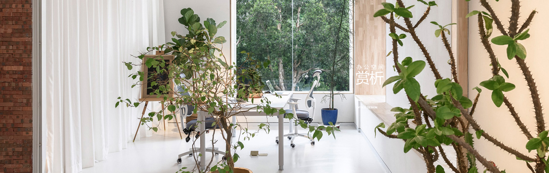 banner辦公空間設計